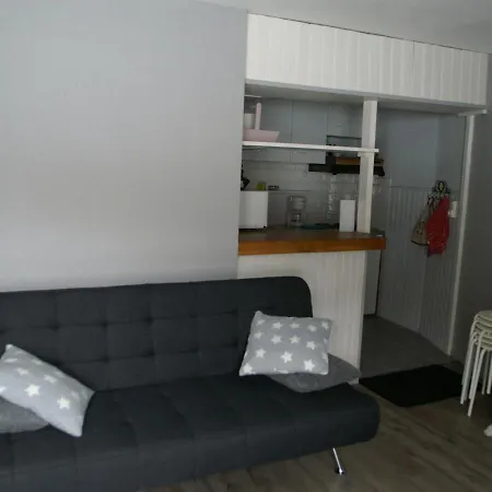 Location Au Pied Des Pistes, Prapoutel, 6 Pers, 33m², Balcon, Skis Aux Pieds - Fr-1-557-50 Apartment *