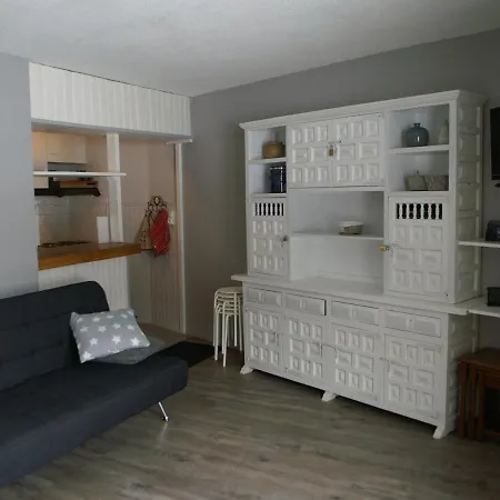 Location Au Pied Des Pistes, Prapoutel, 6 Pers, 33m², Balcon, Skis Aux Pieds - Fr-1-557-50 * Les Adrets